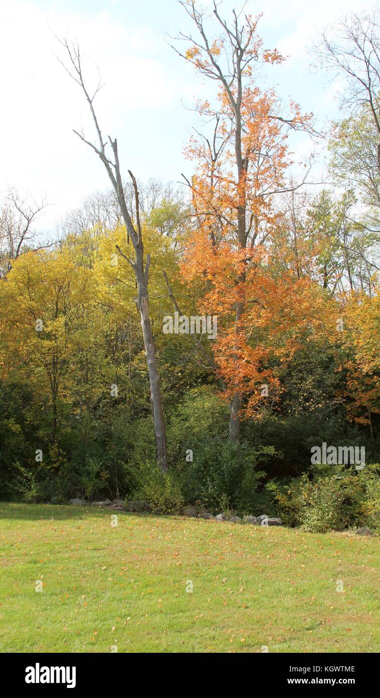 Die Farben der Herbstsaison. Stockfoto