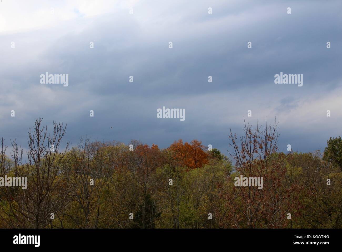 Die Farben der Herbstsaison. Stockfoto