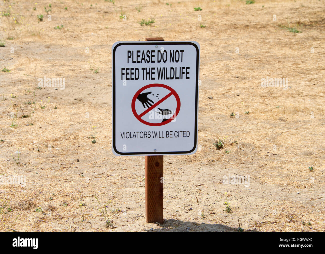 Schild mit Text NICHT füttern die Tiere in einem Patch von totem Gras an einem Park. Wilde Tiere, die sich auf die Menschen für Lebensmittel verlassen können Verletzungen verursachen, die sich dise Stockfoto