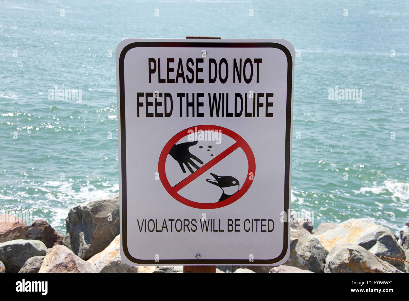 Schild mit Text NICHT füttern die Tiere an den felsigen Küstenlinie in einem Park. Wilde Tiere, die sich auf die Menschen für Lebensmittel verlassen können Verletzungen verursachen, Verbreitung dis Stockfoto