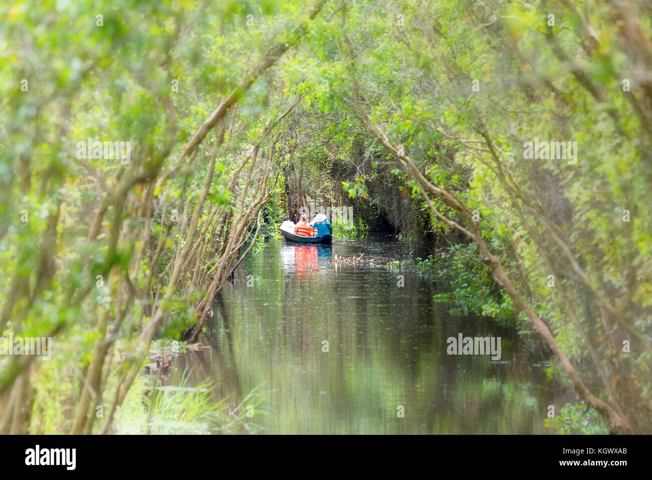 Der Fährmann bringt Reisende auf einer Bootstour entlang der Kanäle im Mangrovenwald. Stockfoto