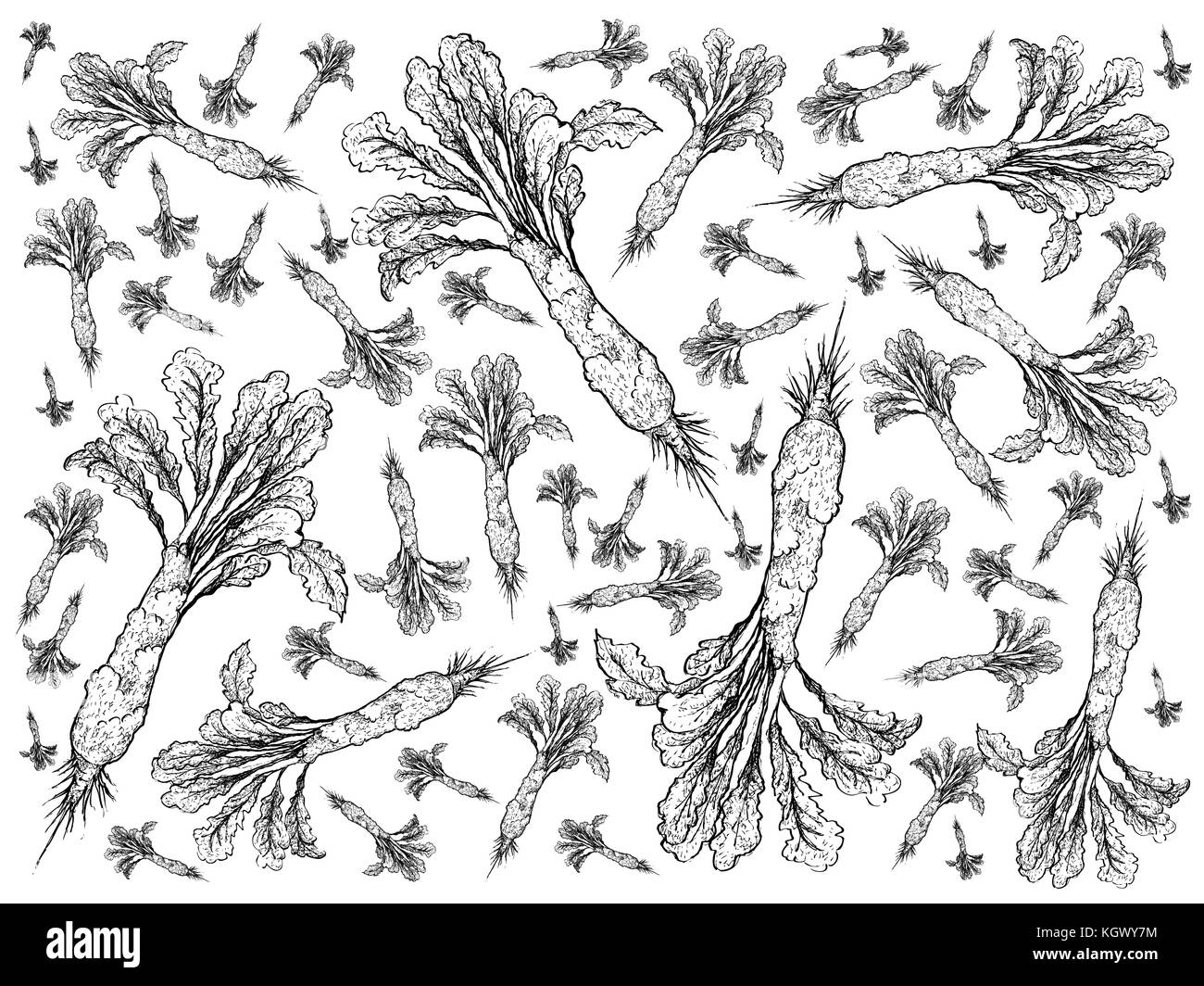 Gemüsesalat, Illustration Hintergrund Muster von Hand gezeichneter Skizze köstliche frische grüne Celtuce Pflanzen isoliert auf weißem Hintergrund. Stockfoto