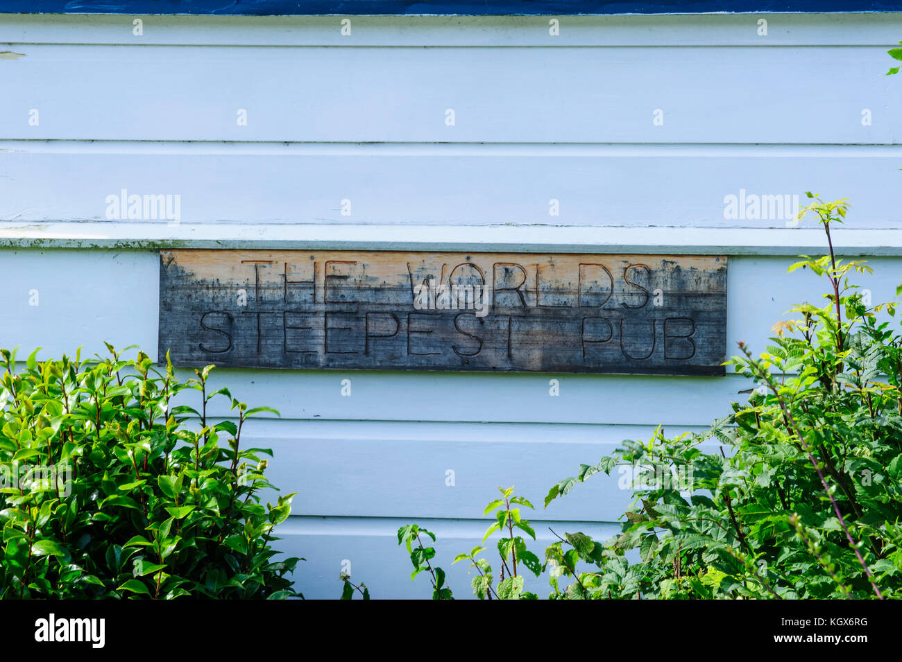 Baldwin Street die Welten der steilsten Wohnstraße, Dunedin, Südinsel, Neuseeland Stockfoto