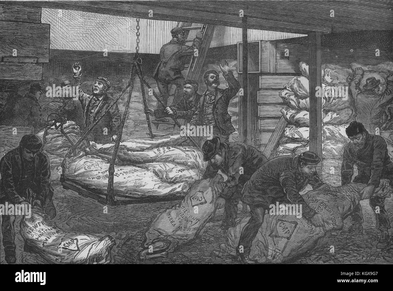 Landung Australische gefrorenes Fleisch aus Sydney, West India Docks, Millwall 1881. Die Illustrated London News Stockfoto