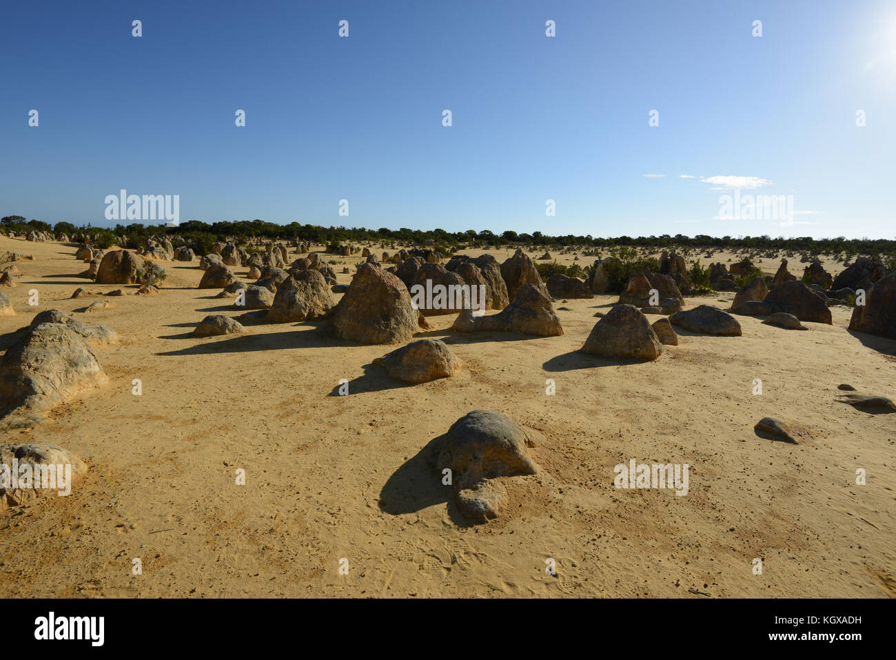Pinnacles Desert, Western Australia. Durch die vom Wind angetriebene Differenzialerosion entsteht eine erstaunliche Landschaft im kochenden Sonnenschein nördlich von Perth Stockfoto