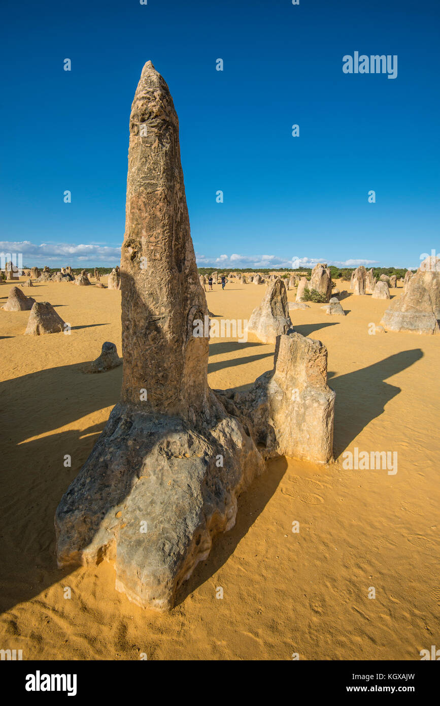 Pinnacles Desert, Western Australia. Durch die vom Wind angetriebene Differenzialerosion entsteht eine erstaunliche Landschaft im kochenden Sonnenschein nördlich von Perth Stockfoto