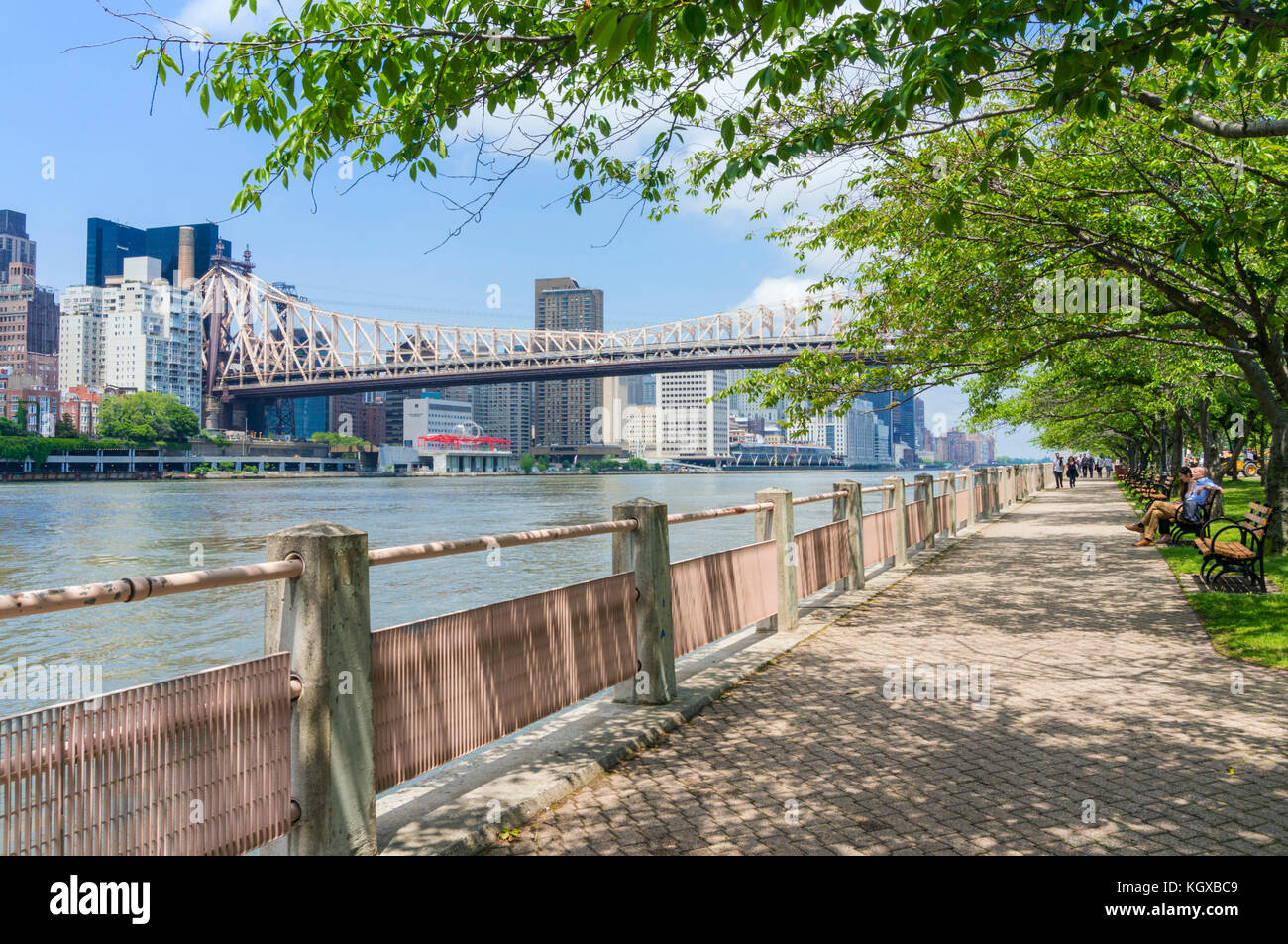 New York USA New York ed Koch Queensborough Bridge über Roosevelt Island und dem East River Queens mit Manhattan New York USA Stockfoto