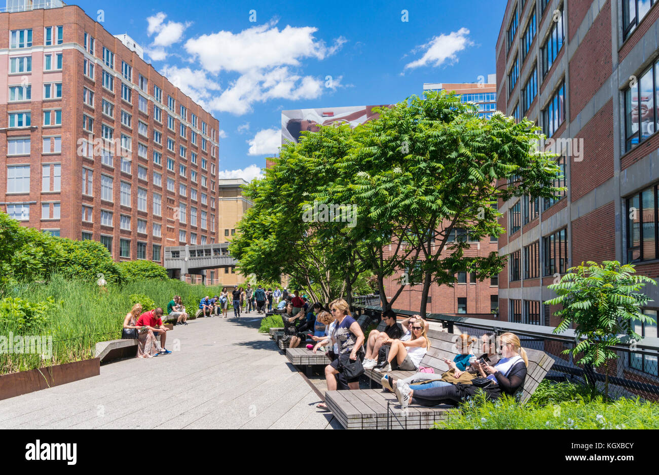 New York USA New York die High Line New York städtischen Park von einem verlassenen erhöhten Schiene Linie in Chelsea, Manhattan New York City HIGHLINE gebildet Stockfoto