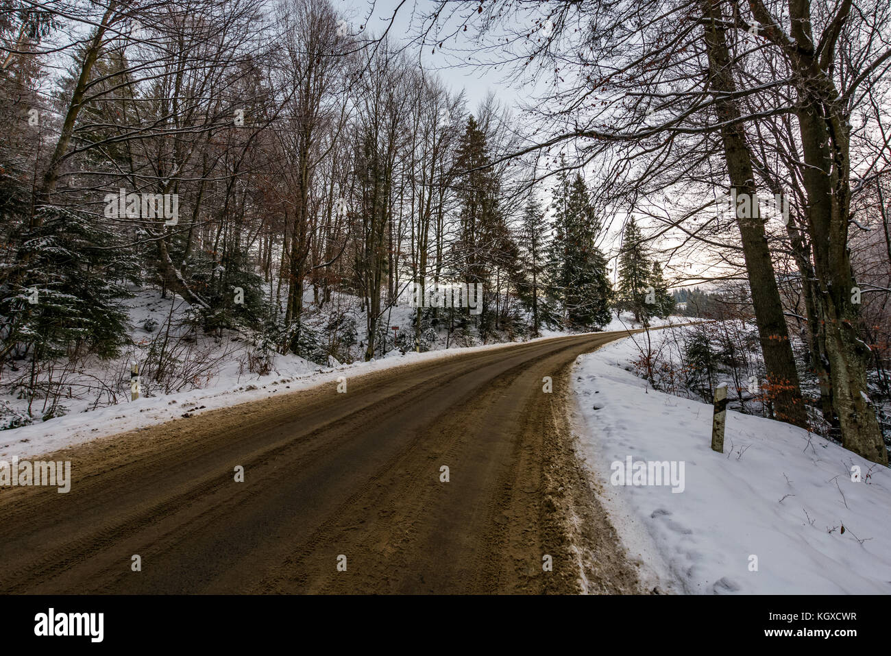Asphaltierte Straße durch Winter Forest. schöne Transport Landschaft Stockfoto