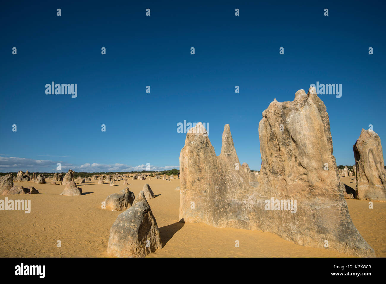 Pinnacles Desert, Western Australia. Durch die vom Wind angetriebene Differenzialerosion entsteht eine erstaunliche Landschaft im kochenden Sonnenschein nördlich von Perth Stockfoto