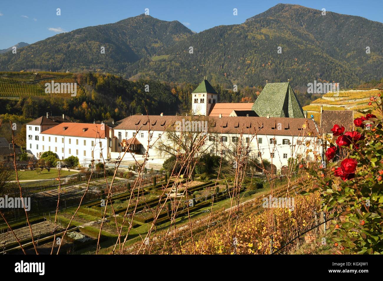 Rote Rosen im Kloster Neustift, Südtirol, Brixen, Italien. die Augustiner Chorherren Kloster Neustift, Bischof von Brixen gegründet wurde. Stockfoto
