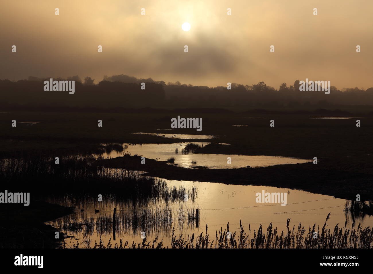 Sonnenuntergang über Feuchtgebiete in North Norfolk, Großbritannien. Sonnenlicht im Sumpfgebiet Wasser wider. wildvogel Rastplätze und Fütterung. dunstiges Sonnenlicht durch den Nebel. Stockfoto