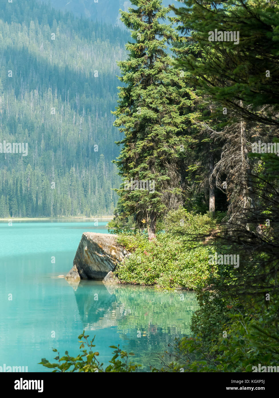 British Columbia in Kanada: Das türkisfarbene Wasser und Umgebung von Emerald Lake Stockfoto