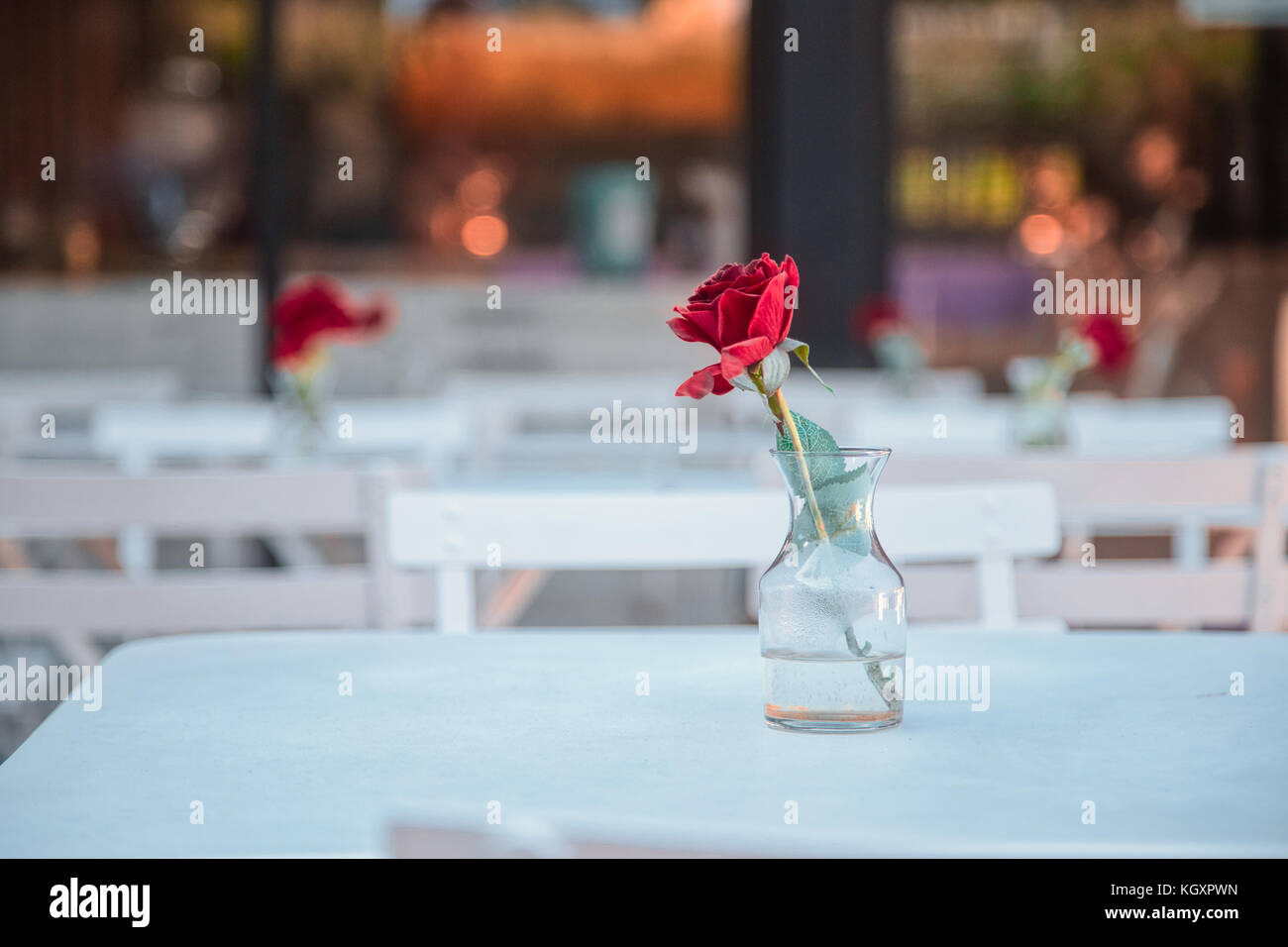 Eine Rose erwartet auf eine Tabelle der feinen Küche Stockfoto