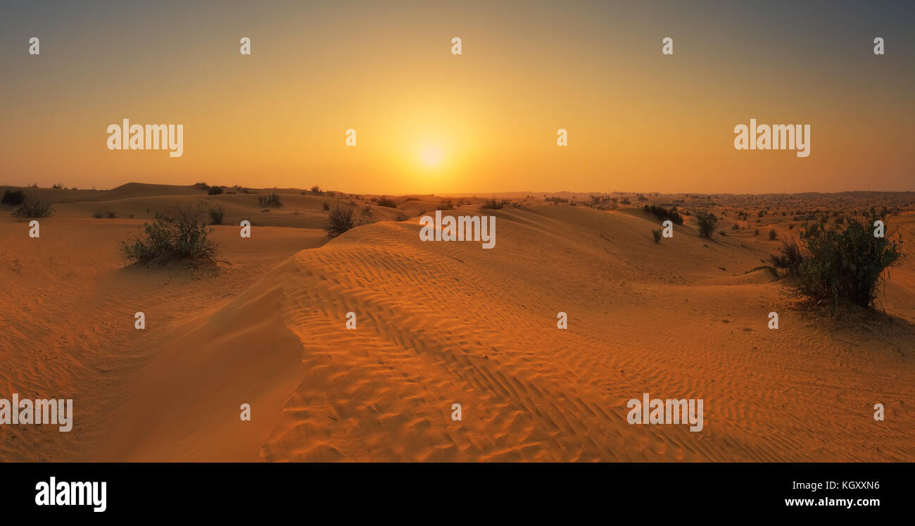 Sonnenuntergang in Dubai Wüste. Panoramablick auf Abend Wüste. Stockfoto