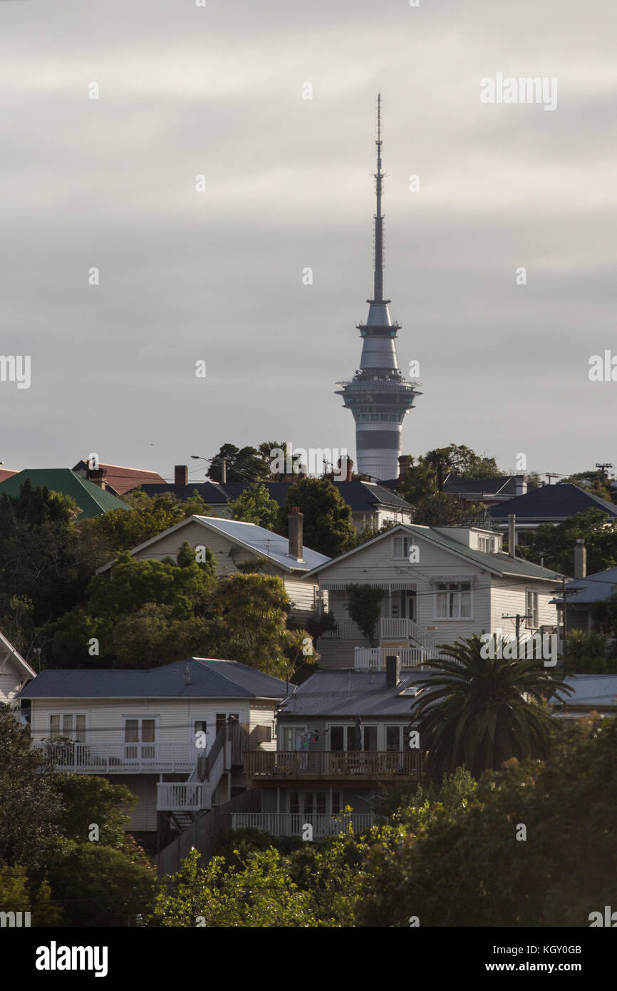 Blick auf den Skytower von Auckland Suburb, Neuseeland Stockfoto