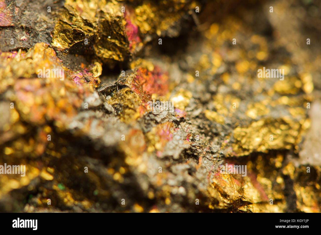 Goldener Hintergrund. Natürliches Gold-Mineral. Makrofoto des Edelsteins Stockfoto