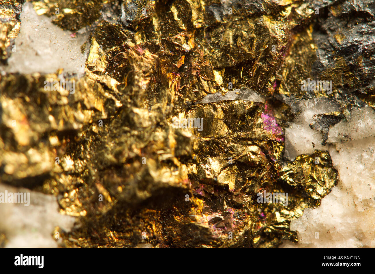 Goldener Hintergrund. Natürliches Gold-Mineral. Makrofoto des Edelsteins Stockfoto