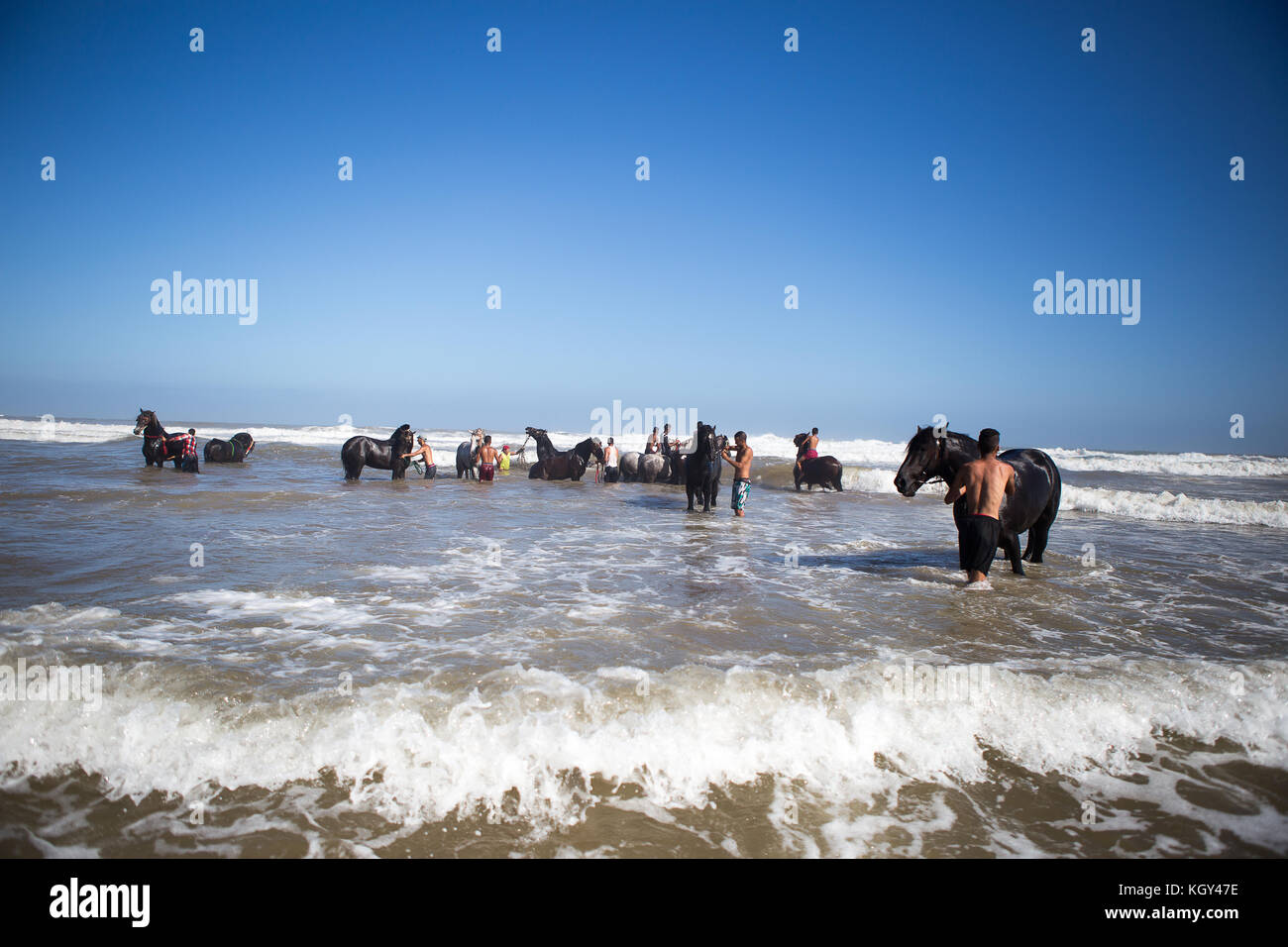 Fantasia ist eine traditionelle Ausstellung der horsemanship im Maghreb während kulturellen Festivals und maghrebinischen Hochzeit feiern zu schließen. Stockfoto