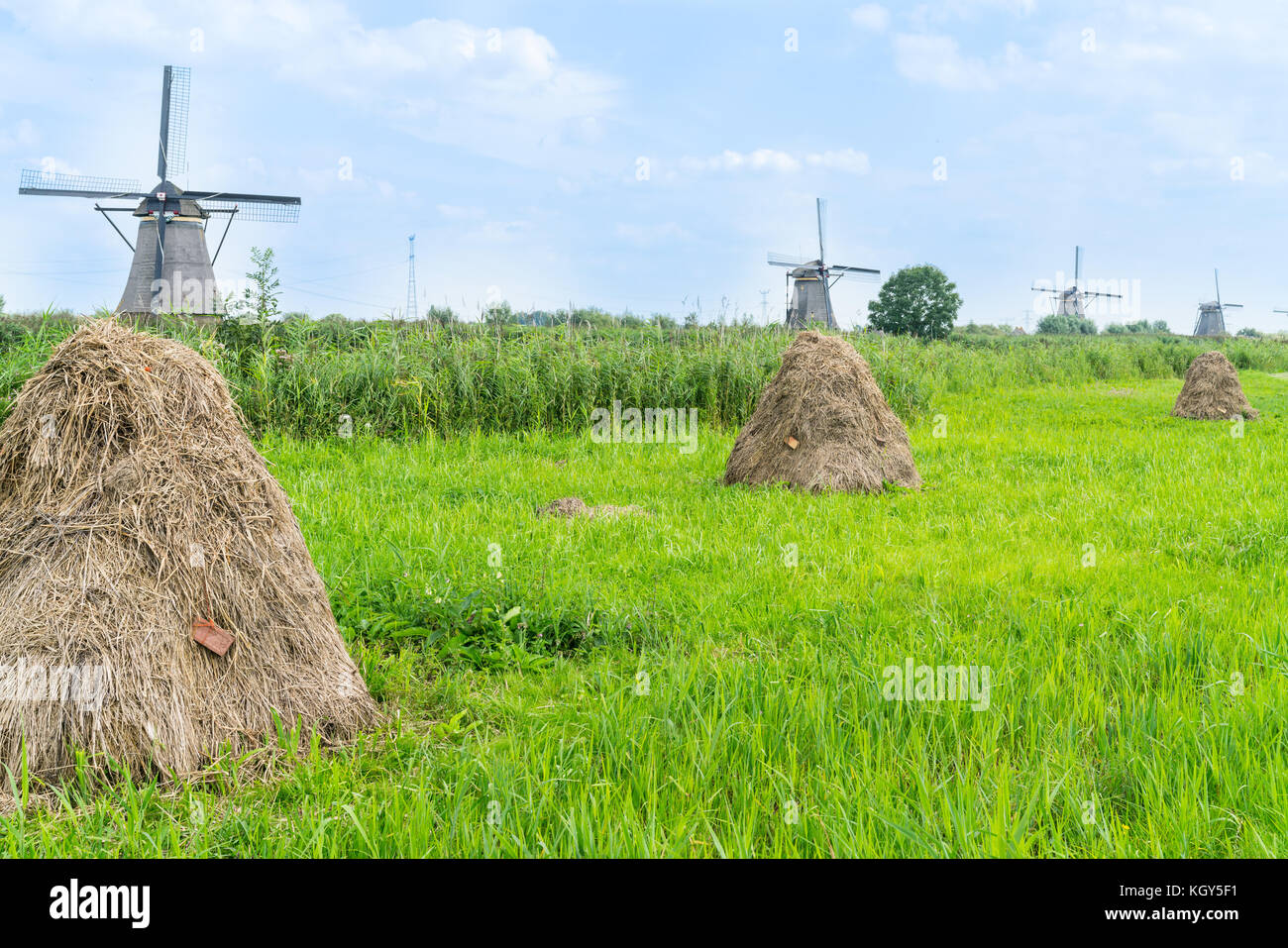 Heuballen im Feld neben dem Deich und Reihe von Windmühlen kinderdijk Bezirk beliebten Reiseziel mit seinen malerischen Felder, Teiche, canls und wi Stockfoto