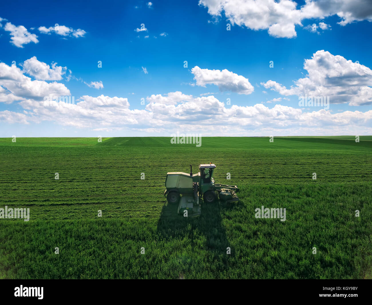 Traktor mähen grünes Feld und bkue Himmel mit Wolken Stockfoto