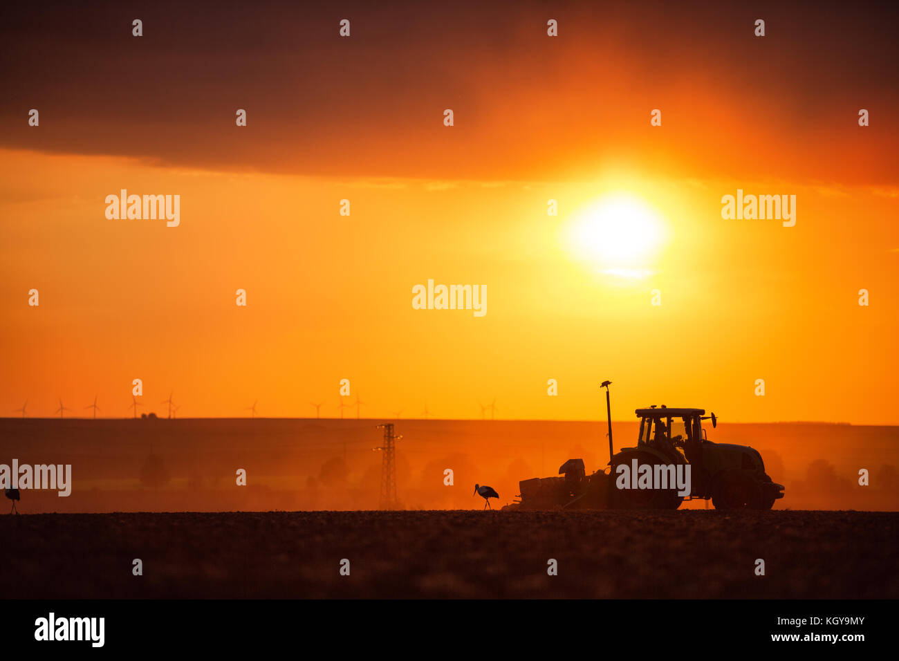 Bauer im Traktor Vorbereitung land mit saatbeet Kultivator, Sonnenuntergang geschossen Stockfoto