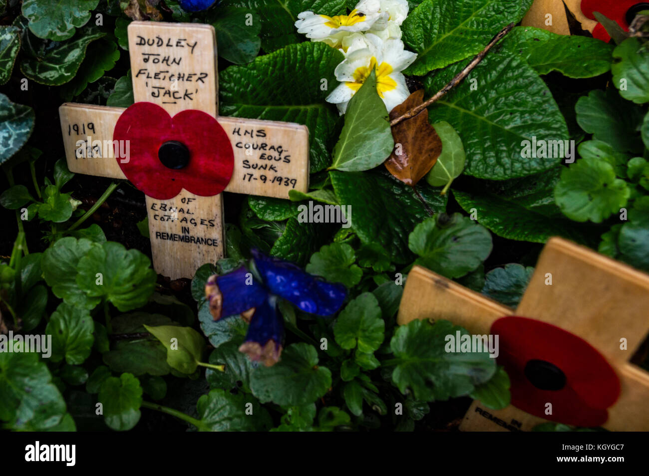 Leominster, Großbritannien. 11 Nov, 2017. Ein poppiger für ein Mitglied der Marine, im Jahr 1939, wenn Hms mutige gesunken. Wie Menschenmassen rund um das ehrenmal Sammeln der 11. Stunde der 11. Tag des elften Monats, 99 Jahre nach Frieden wurde zur gleichen Zeit im Jahr 1918 erklärte markiert das Ende der vier Jahre des Zweiten Weltkrieges in Leominster am 11. November 2017. Quelle: Jim Holz/alamy live-Nachrichten enthalten Links ist Stockfoto