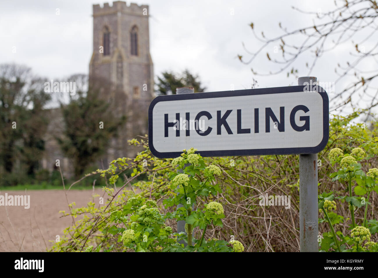 Dorf Schild mit der Marienkirche im Hintergrund. Dorf HICKLING, Norfolk, Broadland. East Anglia. ENGLAND UK. Hinweis frische grüne Alexanders Stockfoto