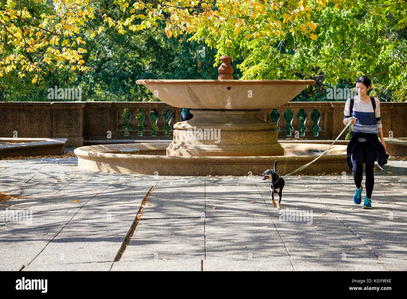 Im Stadtpark geht eine junge Frau mit einem schwarzen Hund am Meridian Hill Park Fountain, Columbia Heights, Washington, D.C., USA. Stockfoto