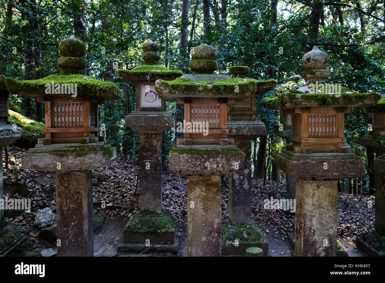 Nara – Japan, 29. Mai 2017: Mit Moos bedeckte Steinlaternen entlang des Weges, der zum Kasuga Taisha-Schrein führt Stockfoto