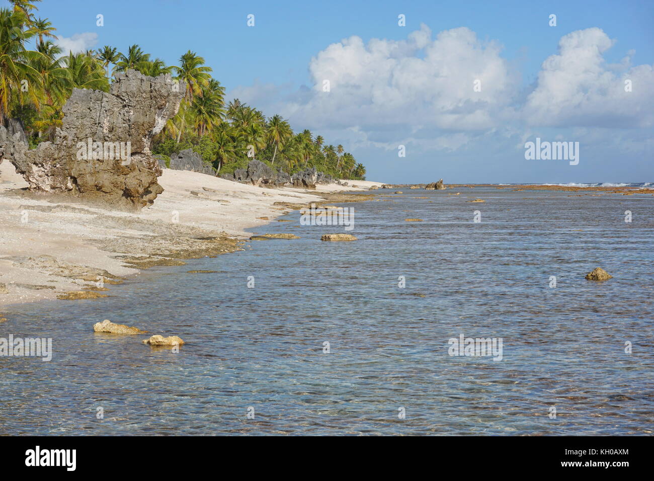 Erodierten Felsen und Kokospalmen an der Küste des Atoll tikehau, tuamotus, Französisch-Polynesien, South Pacific Ocean Stockfoto
