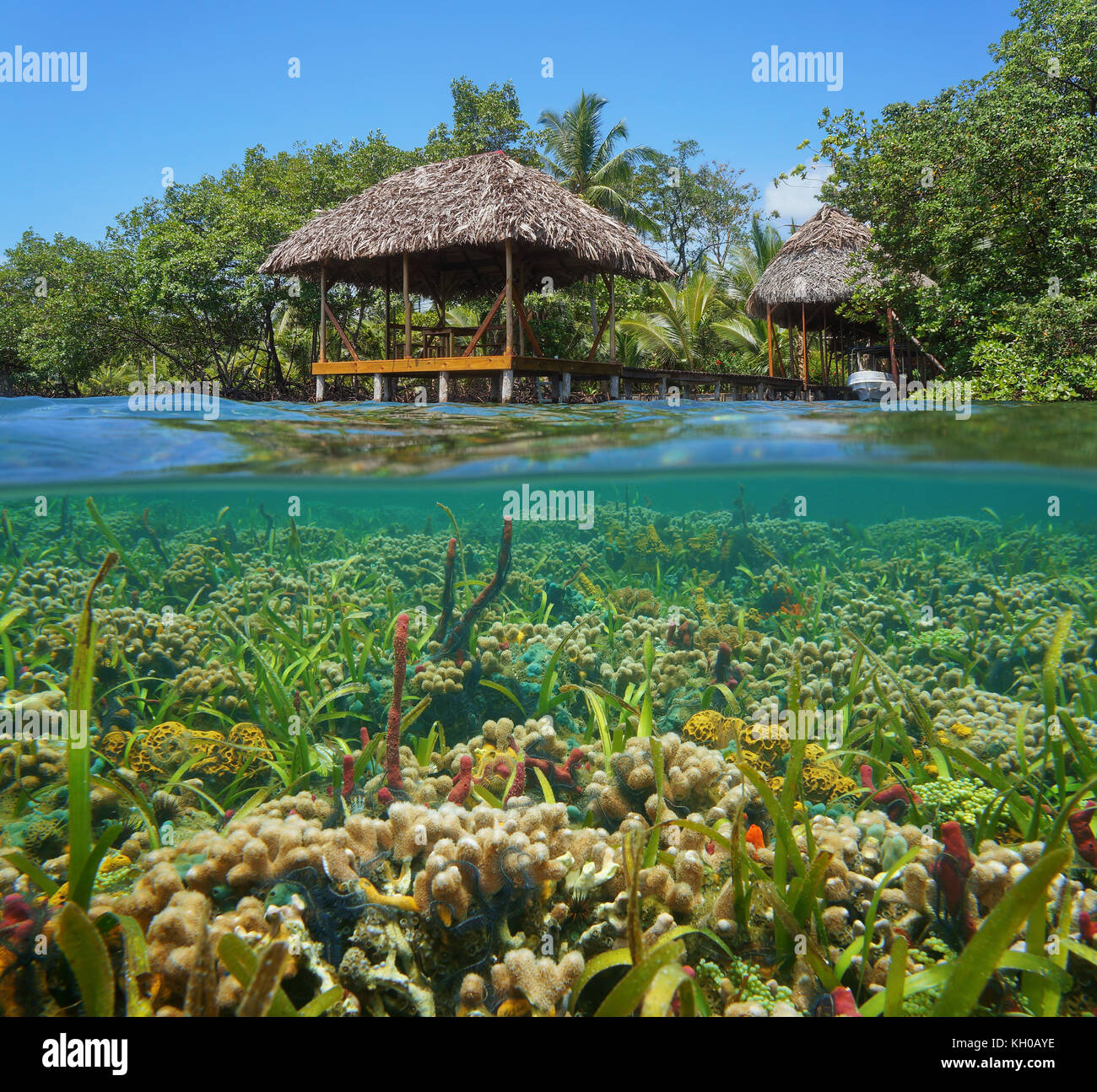 Eine tropische Hütte mit Strohdach über dem Wasser mit einem bunten Coral Reef Unterwasser, Karibik Stockfoto
