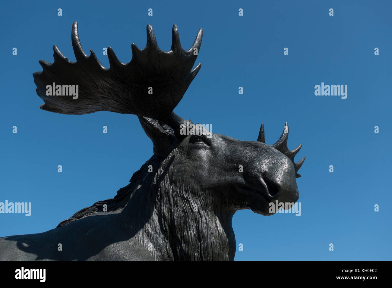 Detail, der Elch Kopf, Teil des Washington Monument Brunnen, Eakins Oval, Philadelphia, Pennsylvania, USA. Stockfoto