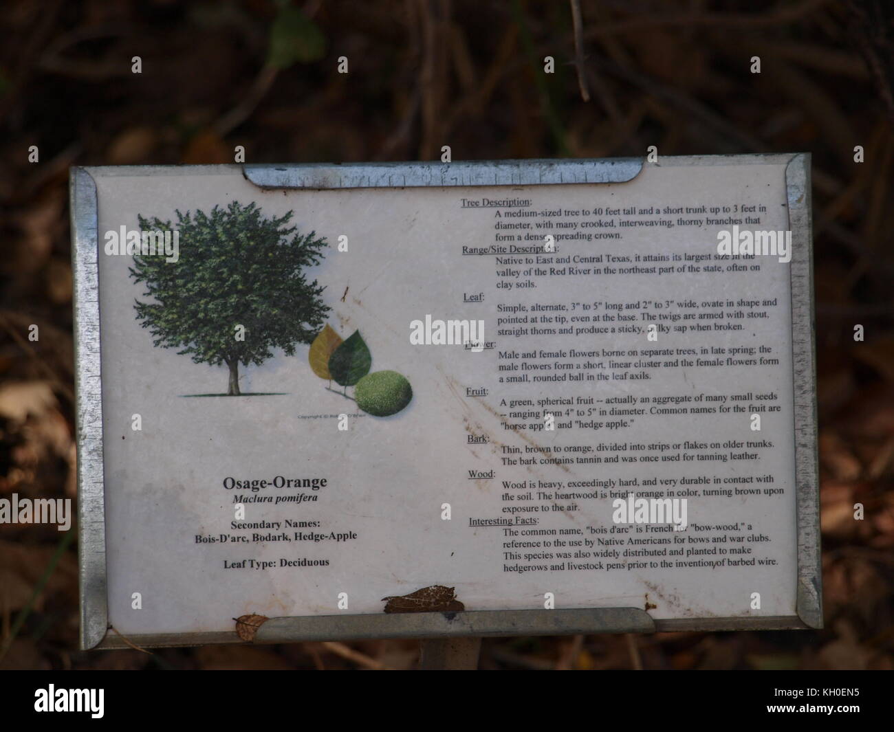 Sam Houston trail Park begeistert Stockfoto