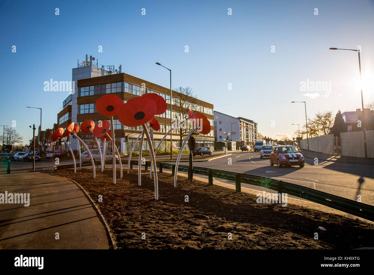 Birmingham, Großbritannien. 12 Nov, 2017 Shirley poppy Island in Birmingham, wo sie den Menschen Mohnblumen für Erinnerung Sonntag gepflanzt, hoffentlich werden Sie zu einer festen Größe werden Sie shirley Credit: Steven roe/alamy leben Nachrichten Stockfoto