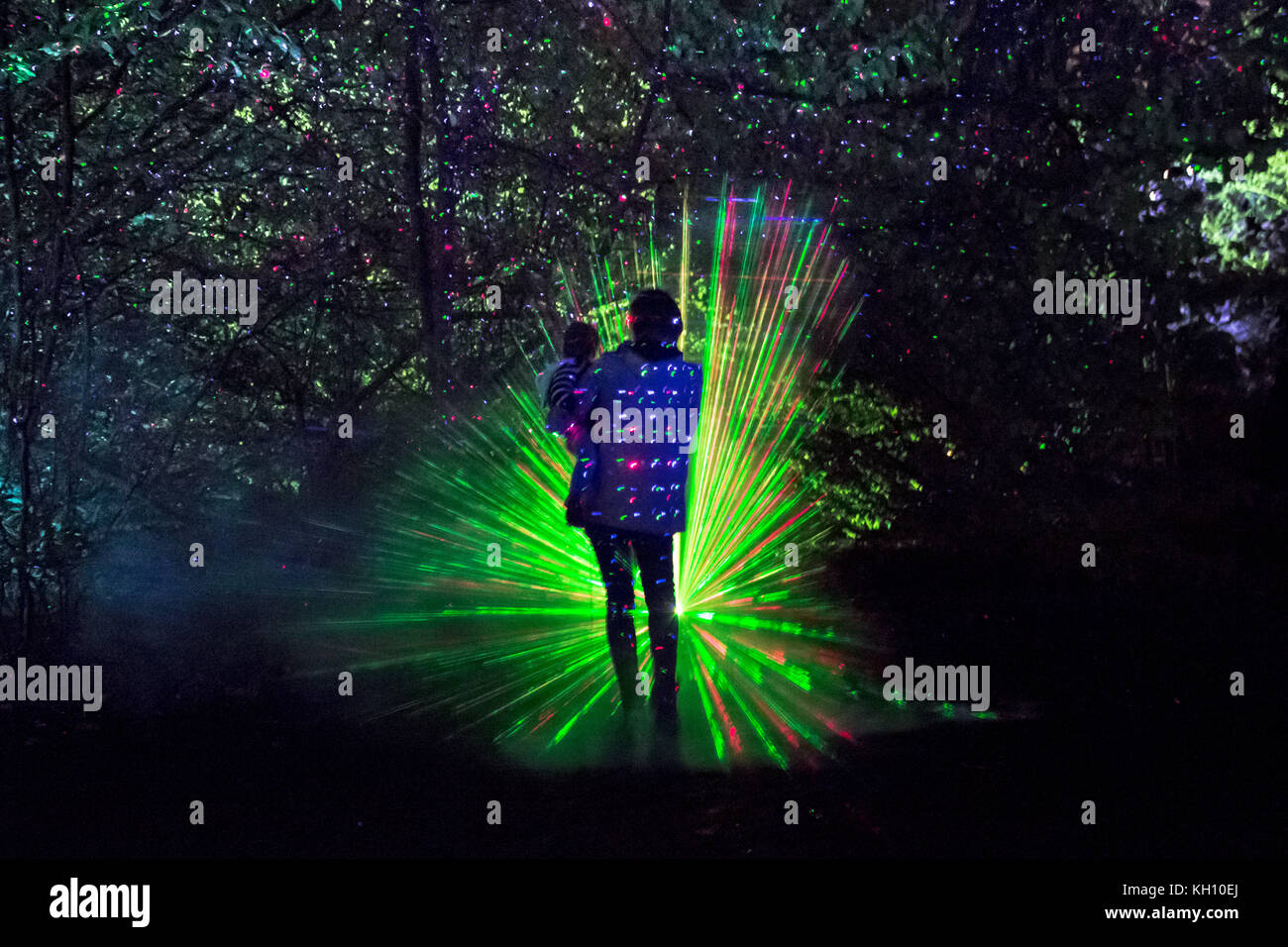 London, Großbritannien. 12 Nov, 2017. Spektakuläre Licht zeigt im Syon Park verzauberte Wälder beleuchtet. Credit: Guy Corbishley/Alamy leben Nachrichten Stockfoto