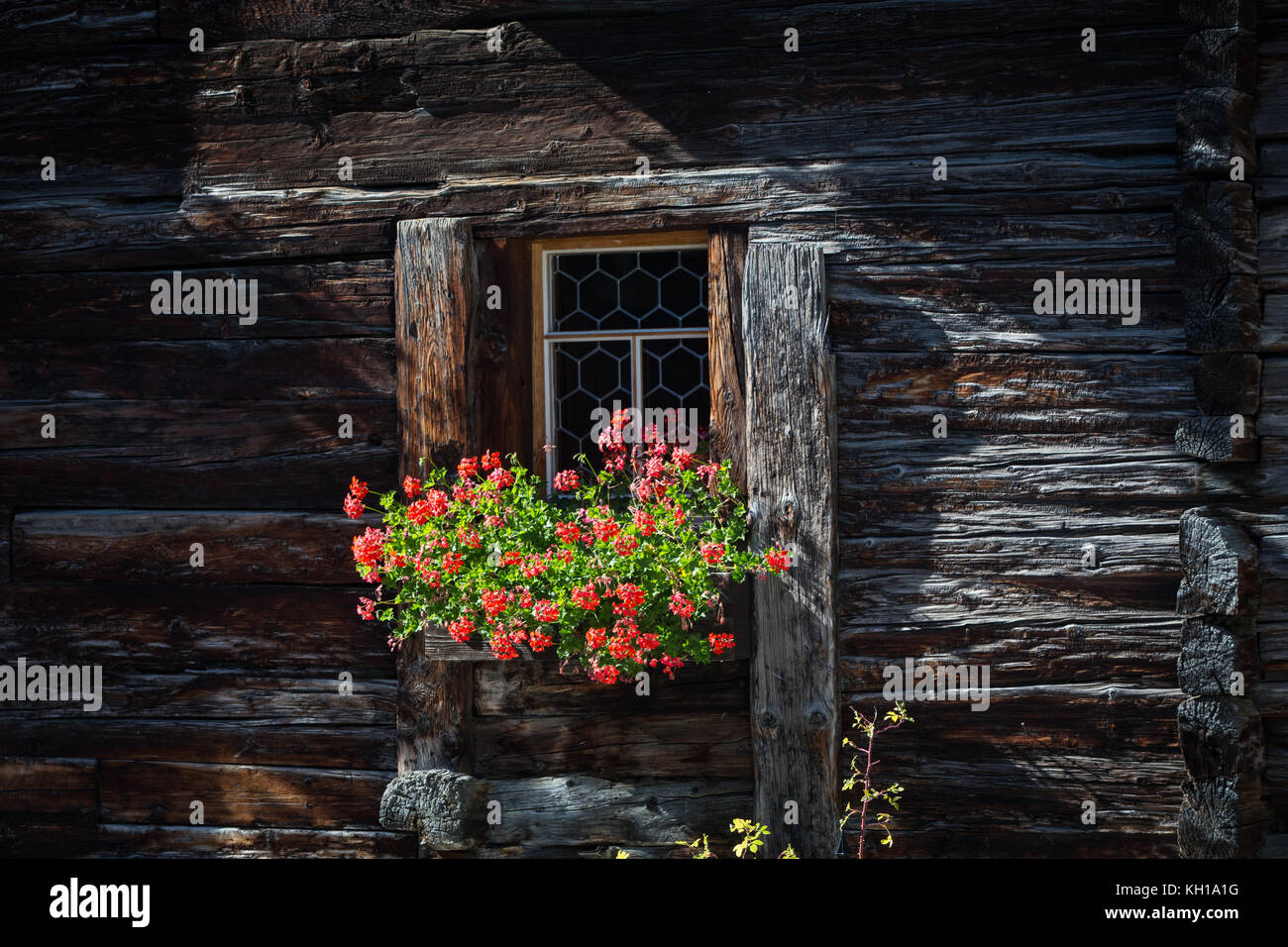 Switzerland House Flower Stockfotos und -bilder Kaufen - Seite 3 - Alamy