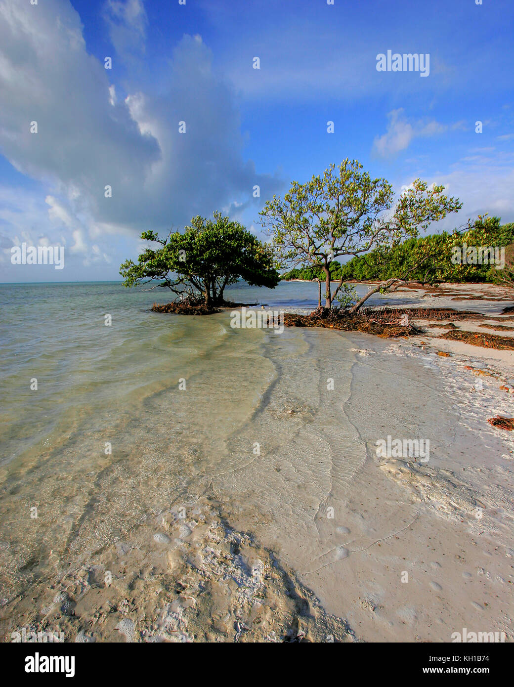 Anne's Beach, Lower Matecumbe, Florida Keys, Florida Stockfoto