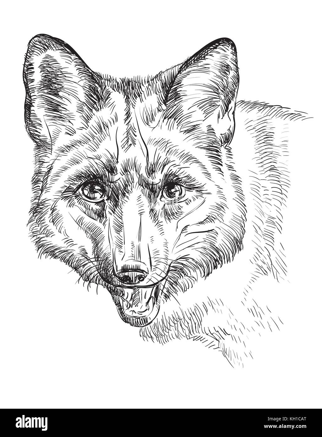 Vektor hand Zeichnung Portrait von Fox in schwarzer Farbe auf weißem Hintergrund Stock Vektor