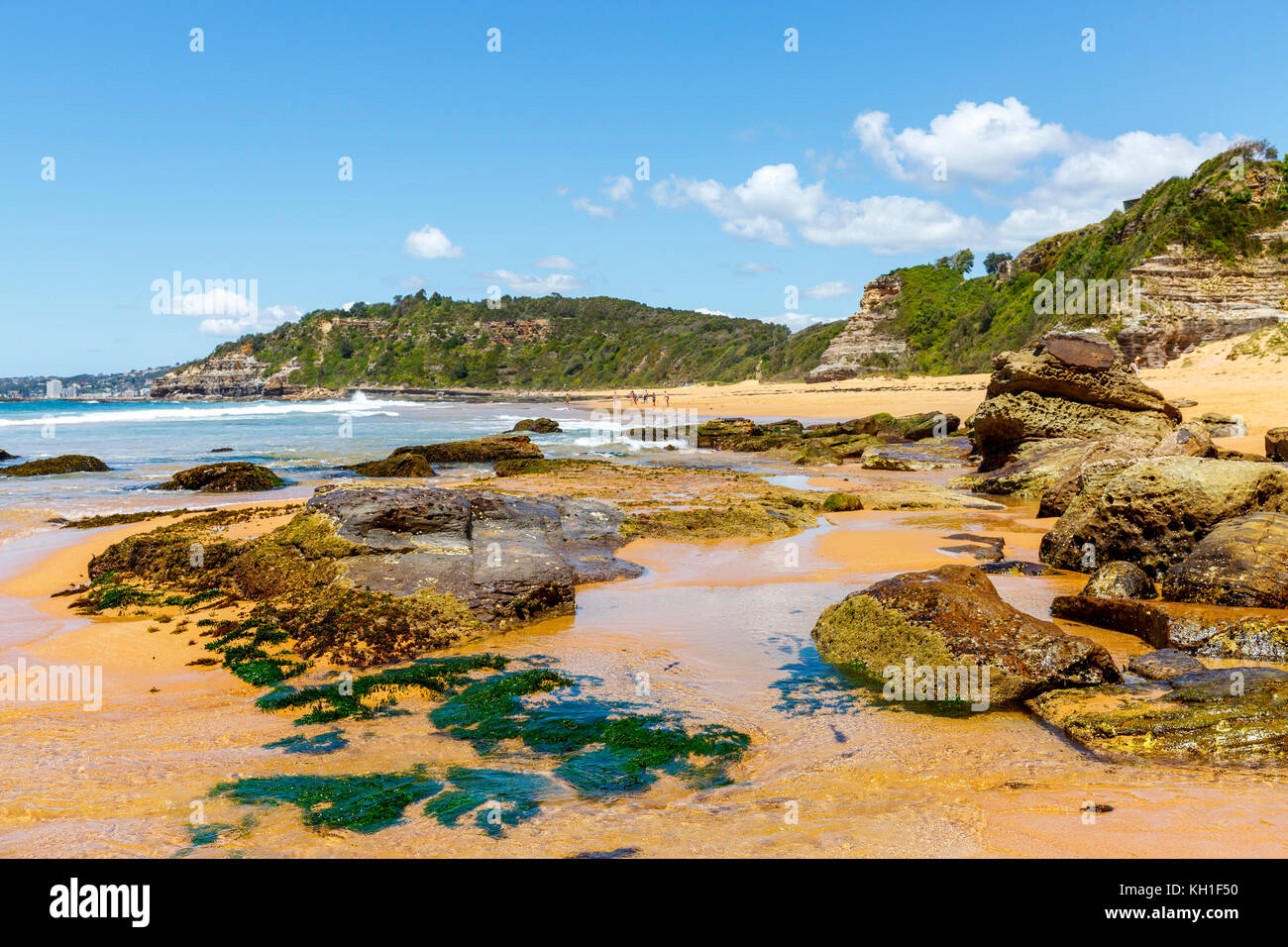 Felsige Küstenlinie auf Turrimetta Turimetta Strand, Strand ist in Warriewood Northern Beaches von Sydney, New South Wales, Australien Stockfoto