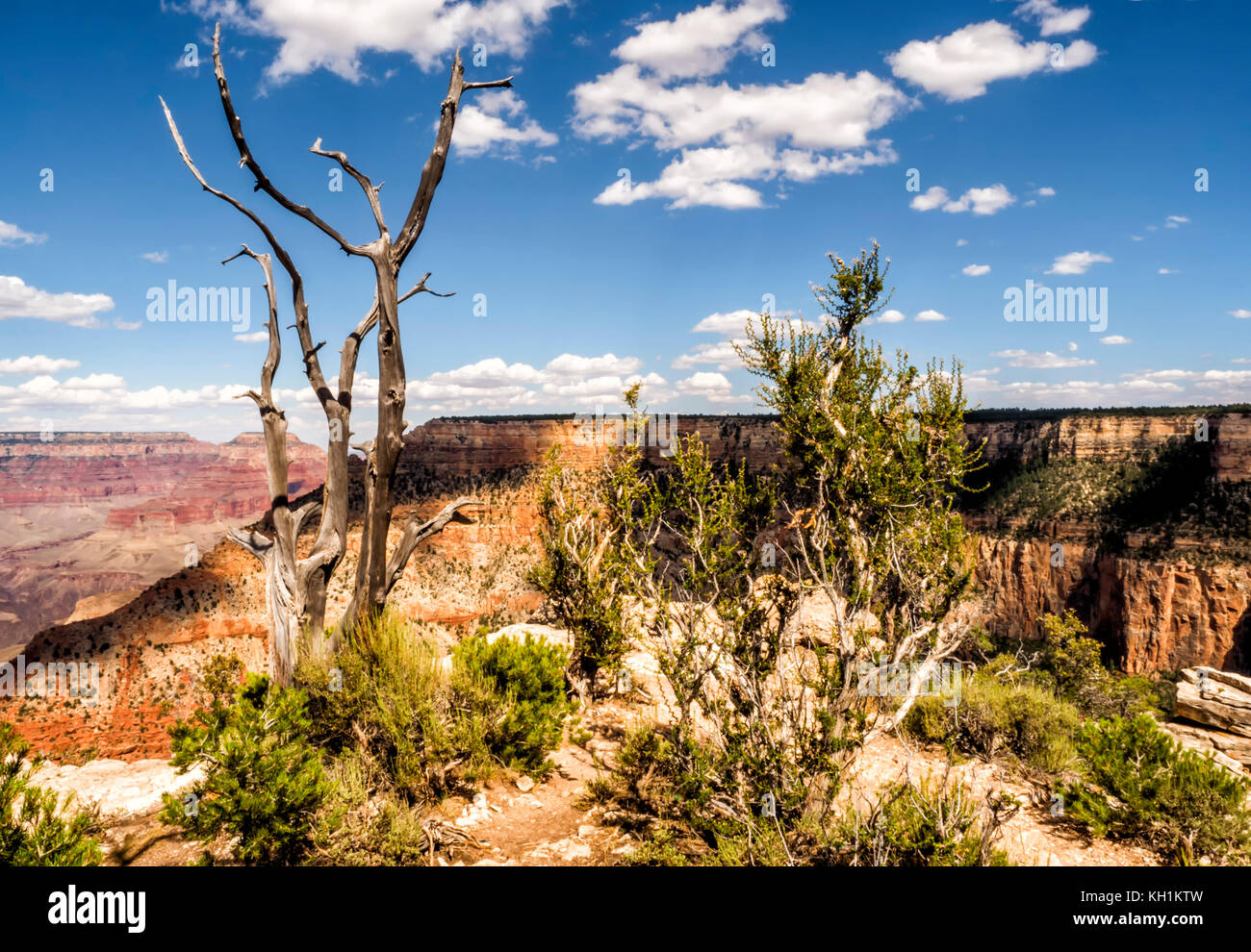 Drei auf dem Skelett aus der Grand View Point - Grand Canyon South Rim, Arizona, AZ, USA Stockfoto