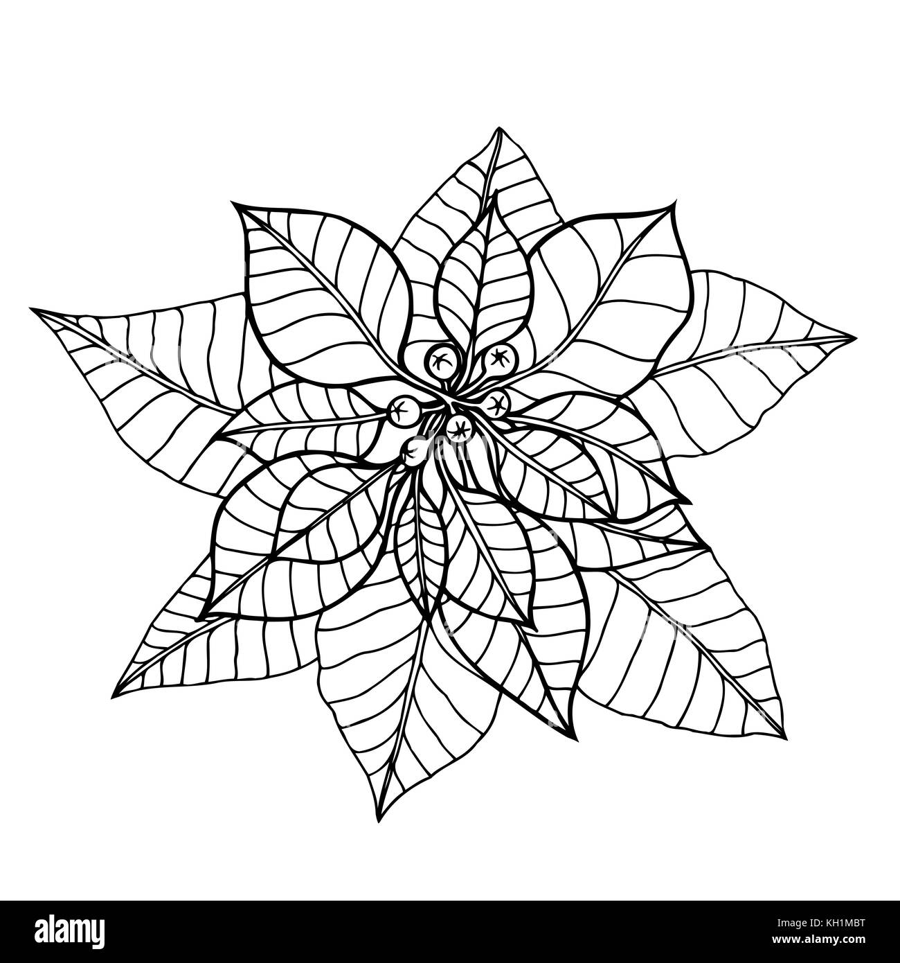 Hand gezeichnet Vector Illustration - poinsettia. Weihnachten Blume. Skizze.. Perfekt für Einladungen, Grußkarten, blogs, Poster etc. Stock Vektor