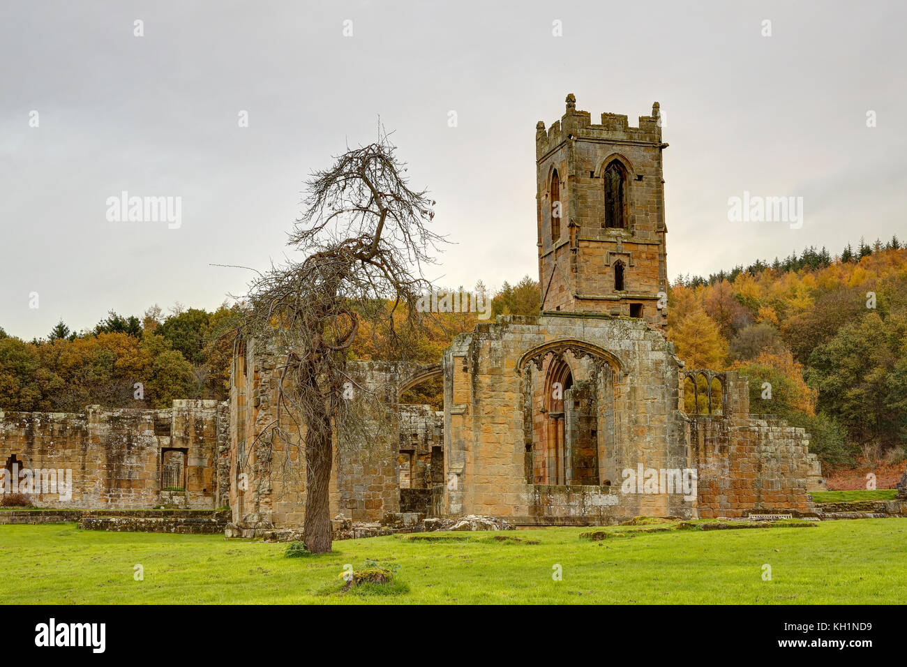 Mount Grace Kartäuser Priorat Stockfoto