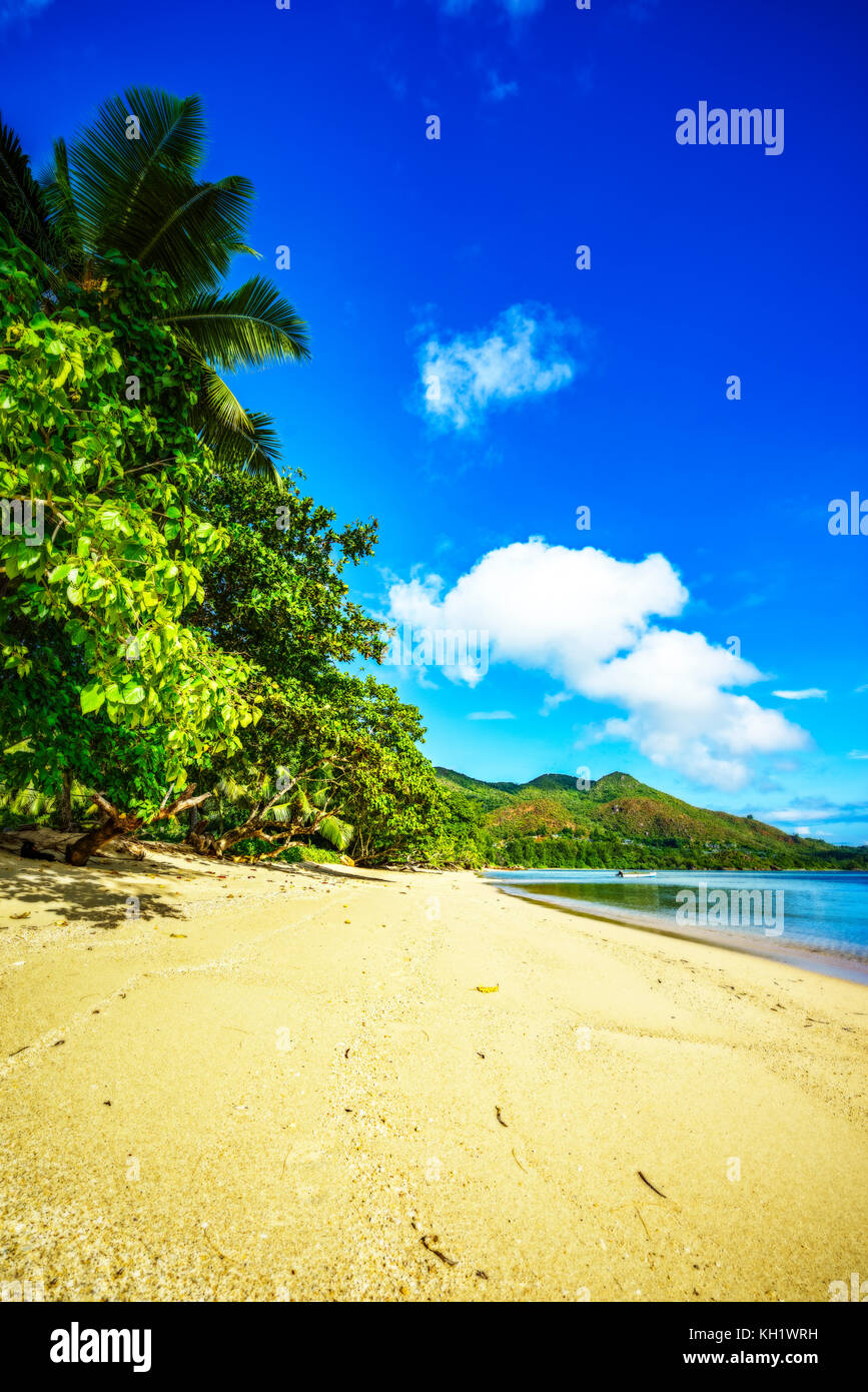 Schönen goldenen Sand, Palmen, blauer Himmel und türkisfarbenem Wasser an einem sonnigen Tag am Paradise Beach im Anse Besitz auf der Insel Praslin auf den Seychellen. Stockfoto