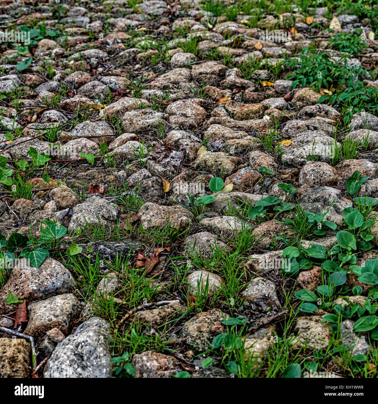 Stein weg, Soller, Serra Tramuntana Stockfoto