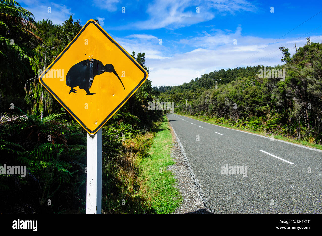 Kiwi Warnschild entlang der Straße zwischen Fox Glacier und Greymouth, Südinsel, Neuseeland Stockfoto