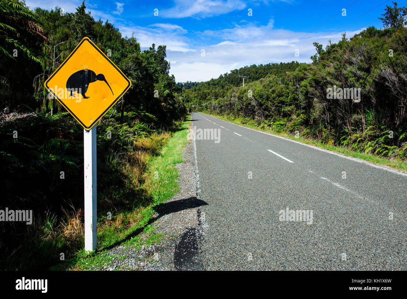 Kiwi Warnschild entlang der Straße zwischen Fox Glacier und Greymouth, Südinsel, Neuseeland Stockfoto