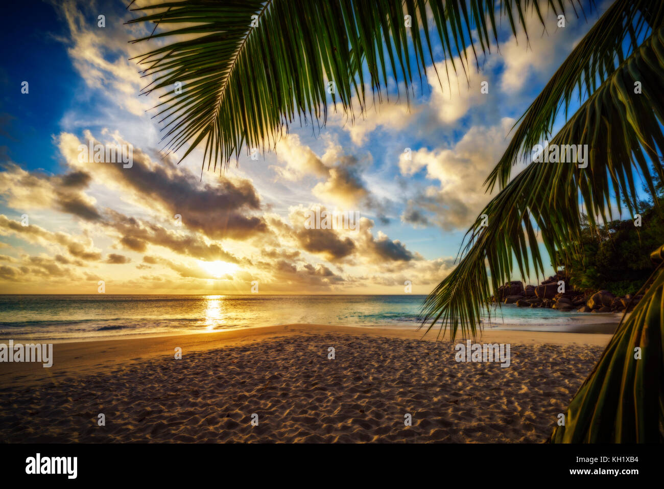 Golden Sunset durch ein palmblatt am Paradise Beach auf den Seychellen Stockfoto