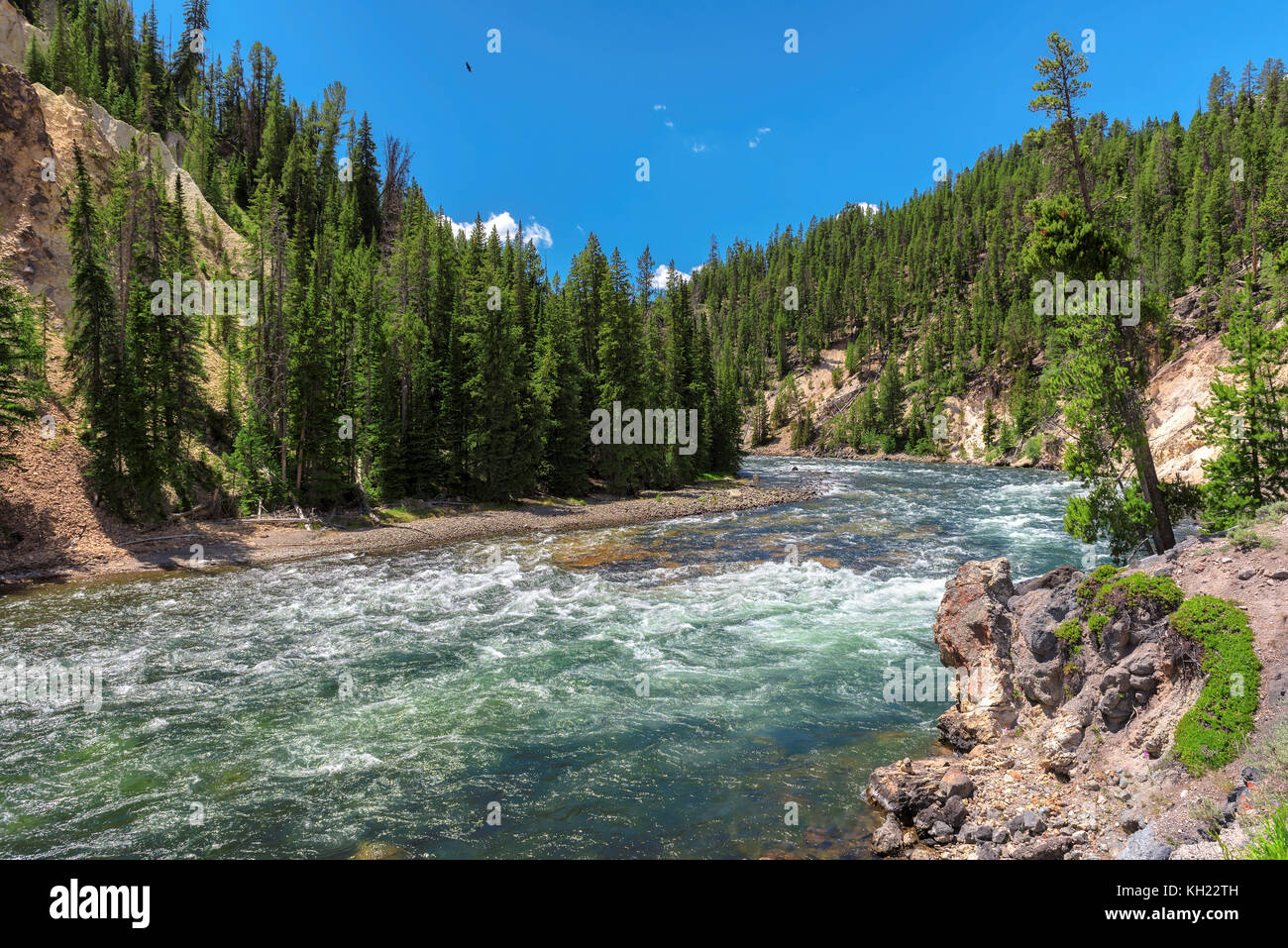 Fluss im Yoho National Park Stockfoto