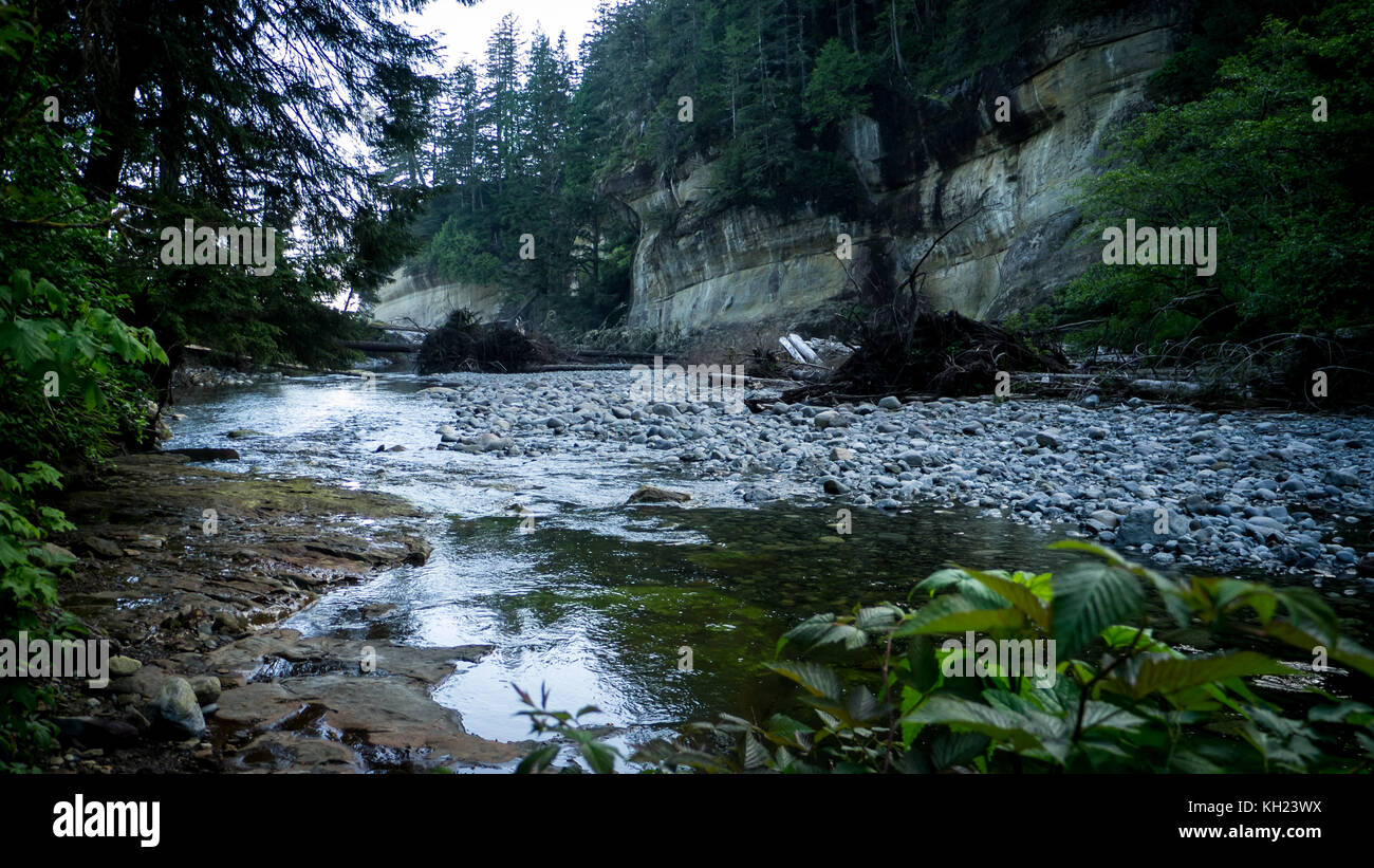 Cullite Creek auf die letzten paar Meter, bevor es die Juan de Fuca Meerenge verbindet (West Coast Trail, Vancouver Island, BC, Kanada) Stockfoto